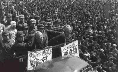 文化大革命 为背景