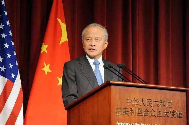 崔天凯惊人背景,揭秘神秘外交官的非凡背景与传奇人生