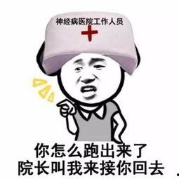 关于李姓的表情包,趣味横生，展现独特魅力