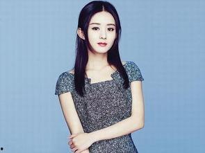 赵丽颍个人资料,才华横溢的影视新星，多面魅力展现